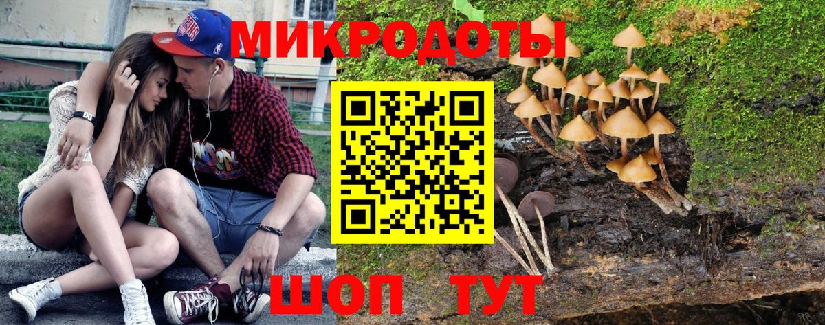 сколько стоит  Вход с VPN  Копейск  Псилоцибиновые грибы ЛСД 